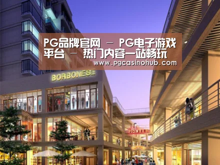 案例展示一(图1)